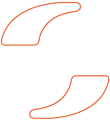 logo snal